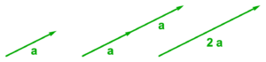 Figure 1.3. Twice a vector.