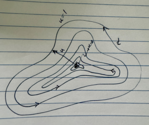 fig. 2. Family of nested closed curves.